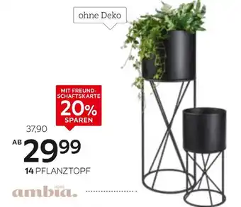 XXXLutz Ambia home pflanztopf Angebot