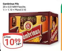 Globus Gambrinus pils Angebot