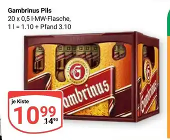 Globus Gambrinus pils Angebot