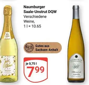 Globus Naumburger saale-unstrut dqw Angebot