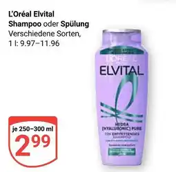 Globus L'oréal elvital shampoo Angebot