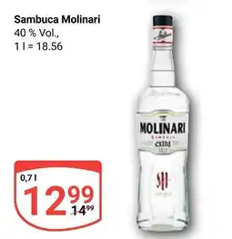 Globus Molinari sambuca Angebot