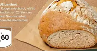 Globus Roggenmischbrot Angebot
