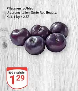 Globus Pflaumen rot/blau Angebot