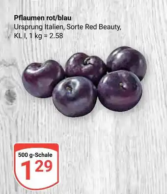 Globus Pflaumen rot/blau Angebot