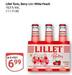 Globus Lillet tonic berry Angebot