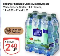 Globus Ileburger sachsen quelle mineralwasser Angebot