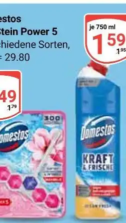 Globus Domestos stein power 5 Angebot