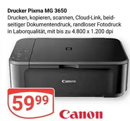 Globus Canon drucker pixma mg 3650 Angebot