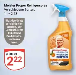 Globus Meister proper reinigerspray Angebot