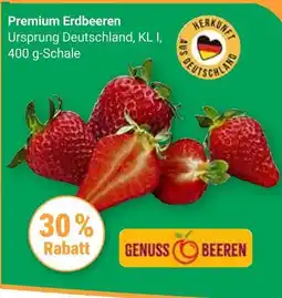 Globus Genuss beeren premium erdbeeren Angebot