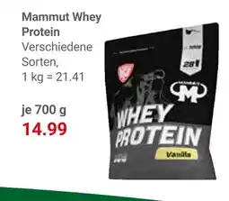 Globus Mammut whey protein Angebot