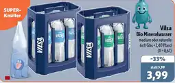 Aktiv Irma Vilsa Bio Mineralwasser Angebot