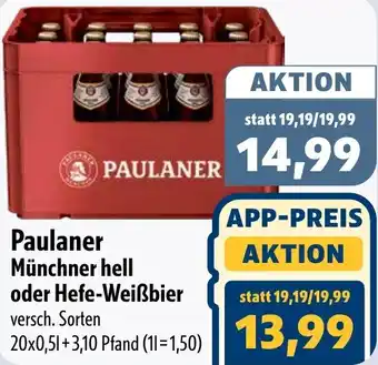 Aktiv Irma Paulaner Münchner hell oder Hefe-Weißbier Angebot