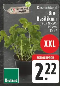 Edeka Bioland bio-basilikum Angebot