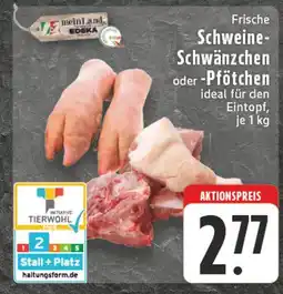 Edeka Meinland schweine-schwänzchen Angebot