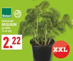 Marktkauf Bioland basilikum Angebot