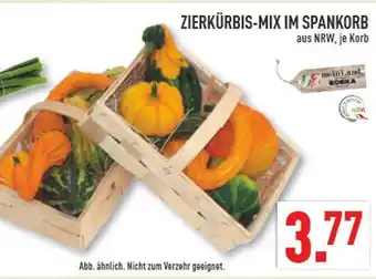 Marktkauf Zierkürbis-mix im spankorb Angebot