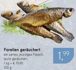 Dornseifer Forellen geräuchert Angebot