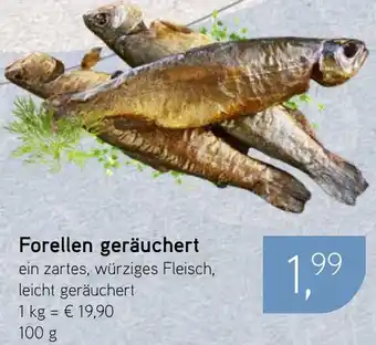 Dornseifer Forellen geräuchert Angebot