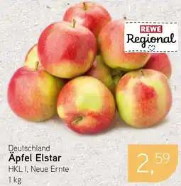 Dornseifer Apfel Elstar Angebot