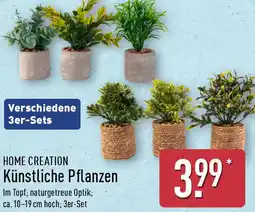 Aldi Nord HOME CREATION Künstliche Pflanzen Angebot