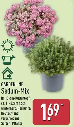 Aldi Nord GARDENLINE Sedum-Mix Angebot
