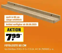 OBI Fotoleiste Angebot