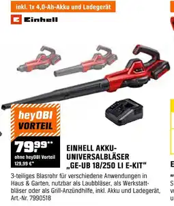 OBI Einhell akku-universalbläser ge-ub 18/250 li e-kit Angebot