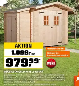 OBI Weka blockbohlenhaus bologna Angebot
