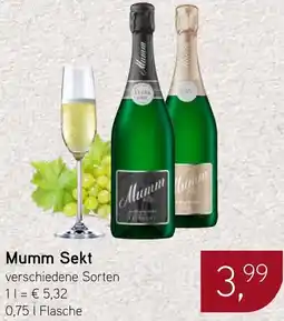 Dornseifer Mumm Sekt Angebot