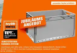 OBI Kunststoffbox eurobox-system Angebot