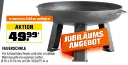 OBI Feuerschale Angebot