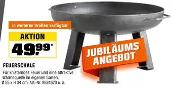 OBI Feuerschale Angebot