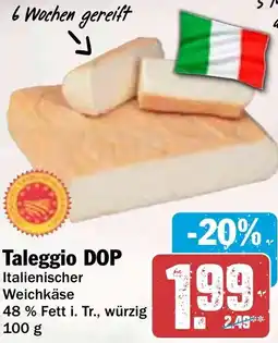 HIT Taleggio DOP Angebot