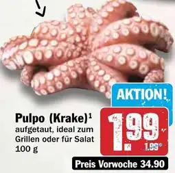 HIT Pulpo (Krake) Angebot