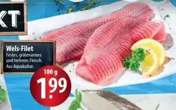 Famila Nord Ost Wels-Filet Angebot