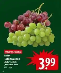 Famila Nord Ost Tafeltrauben Angebot