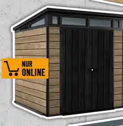Hornbach Keter Kunststoff-Gartenhaus Ashwood Pent Angebot