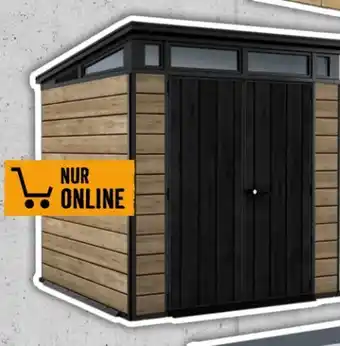 Hornbach Keter Kunststoff-Gartenhaus Ashwood Pent Angebot