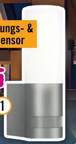Hornbach Steinel LED-Sensor-Außenwandleuchte L 605 S Angebot