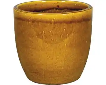 Hornbach Pflanztopf Oslo Angebot