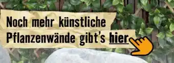 Hornbach Action 25 Angebot