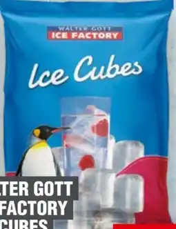 Handelshof Walter Gott Ice Factory Cubes Angebot