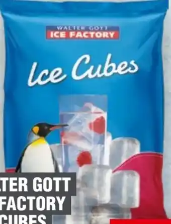 Handelshof Walter Gott Ice Factory Cubes Angebot