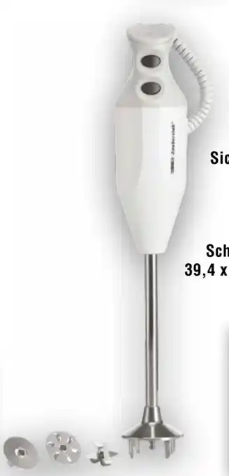 Handelshof Esge Zauberstab Stabmixer P 200 Profi Angebot