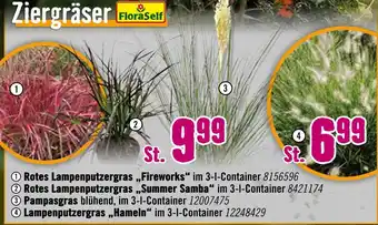 Hornbach Floraself rotes lampenputzgras fireworks Angebot