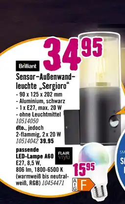 Hornbach Brilliant sensor-außenwandleuchte sergioro Angebot