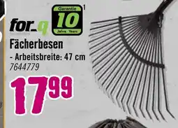 Hornbach Fächerbesen Angebot