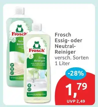 Budni Frosch essig reiniger Angebot